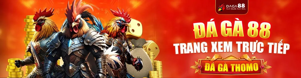 Hình ảnh Điều khoản Dịch vụ của bigboss code, thể hiện sự minh bạch và an toàn